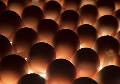 恒行6-品质新履历,专选恒行6