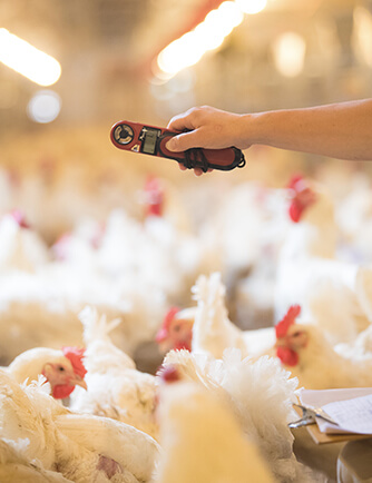 恒行6-品质新履历,专选恒行6