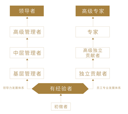 恒行6-品质新履历,专选恒行6
