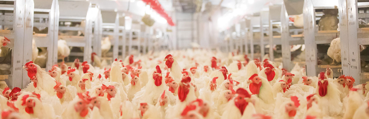 恒行6-品质新履历,专选恒行6