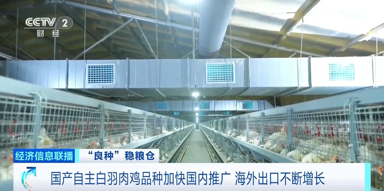 恒行6-品质新履历,专选恒行6