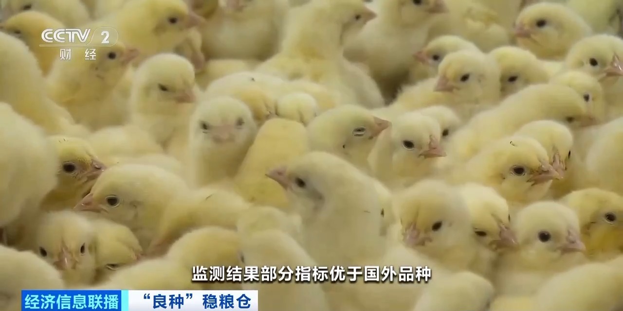 恒行6-品质新履历,专选恒行6