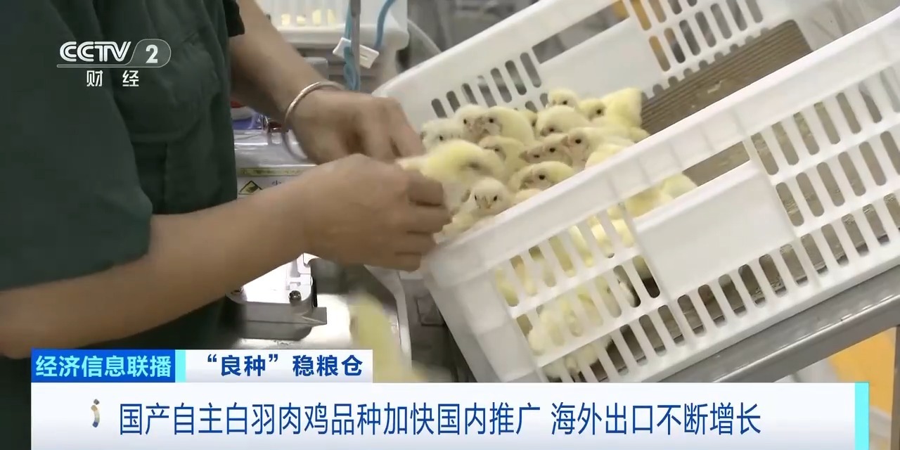 恒行6-品质新履历,专选恒行6